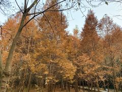 -天河潭旅游度假区