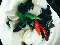 -云中小雅