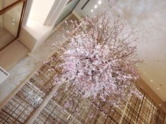 -銀座あけぼの(銀座本店)