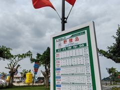 -野狸岛