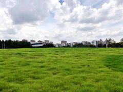 -杭州城北体育公园