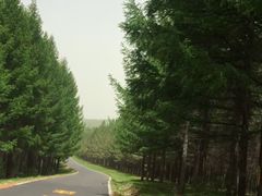 -塞罕坝国家级自然保护区