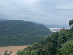 -铁山坪森林公园