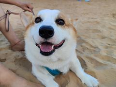 -青岛银沙滩