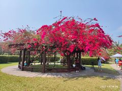 -中国科学院西双版纳热带植物园