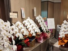-中部国际机场