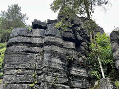 -梭布垭石林景区