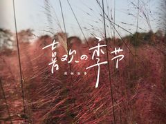-花博汇(知音花月夜)