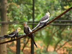 -卡塞拉自然公园