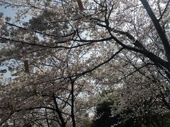 -堤角公园
