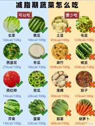 -Fundi张玉珊修身堂·indiba·BTL科技瘦身