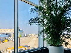 -长沙黄花国际机场-T1航站楼