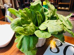 -竹叶涮肉坊(总店)