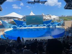 -上海海昌海洋公园