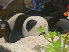 -红辣椒·川菜·火锅(大洋中心店)