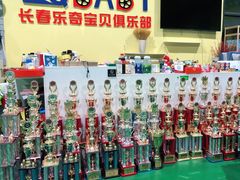 -长春乐奇平衡车儿童体能运动中心