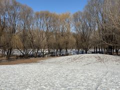 -长白岛森林公园