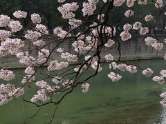 -红星桥(地铁站)