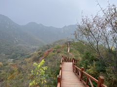 -大岭沟猕猴桃谷风景区