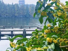 -九曜山