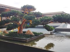 -外滩·云南人家(昆明旗舰店)