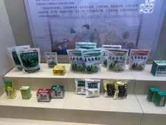 -广东中医药博物馆