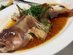 清蒸东星斑-79号渔船海鲜饭店(宝安店)