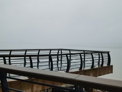 -深圳湾公园(南山区)