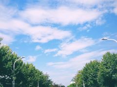 -东南大学(九龙湖校区)