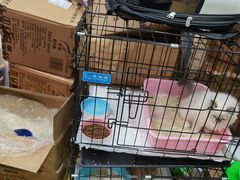 -屋虎猫馆(宝安大仟里店)