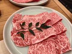 -然锅料理