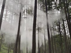 -洛阳白云山景区