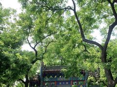 -北京国子监胡同