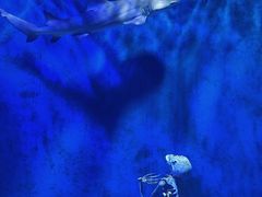 -太平洋海底世界