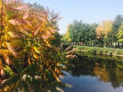 -长白岛森林公园