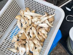 -菌海森林·非遗野生菌火锅(西山区滇池路摩根道店)