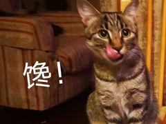 -昌平路面馆