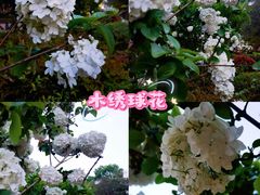-西南政法大学(沙坪坝校区)