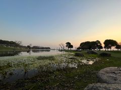 -滆湖低碳生态公园