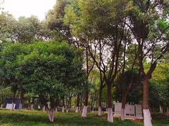 -后襄河公园