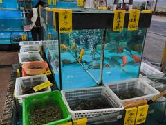 -崖口红树林海鲜餐厅