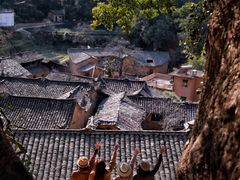 -杨家堂村