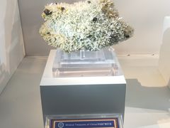 -中国地质大学逸夫博物馆