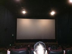 放映厅-嘉华国际影城(学清路店)