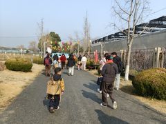 -菊园百果园