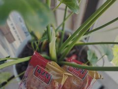 -福源馆(河南街店)
