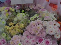 -循礼门鲜花花市(武汉循礼门店)