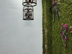 -鲜椒鱼·雅安地标性美食