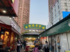 -曲阳花鸟市场(曲阳路店)