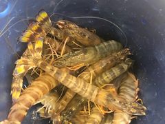 -澜悦港海鲜体验主题餐厅